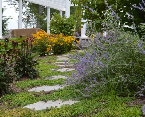 Stepping stones surrounded by flowers leading to a pergola.