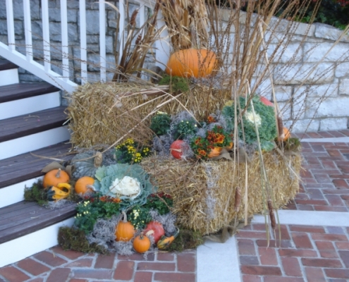 Fall landscape accents near front entrance